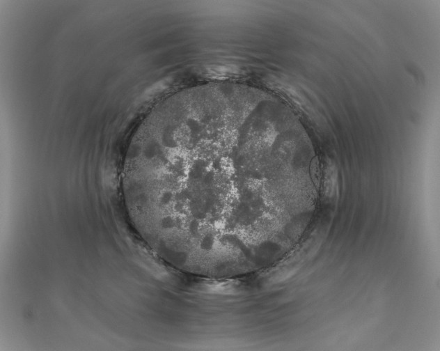 X0000110870569200906181205