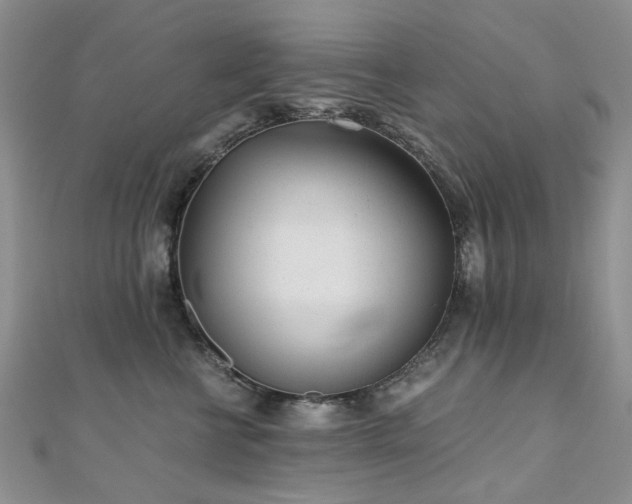 X0000110870570200906181205