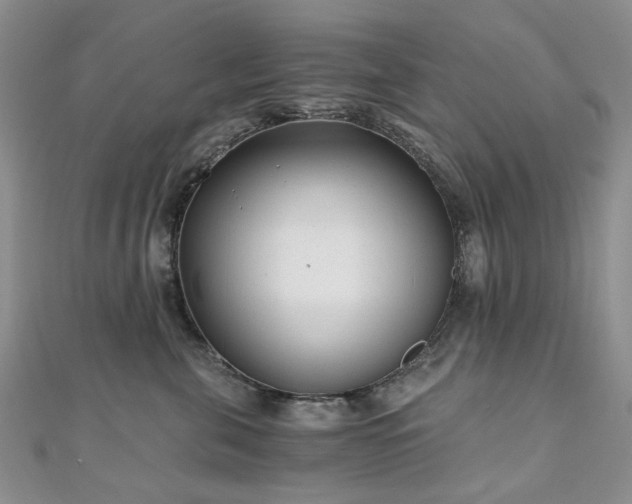 X0000110870571200906181205