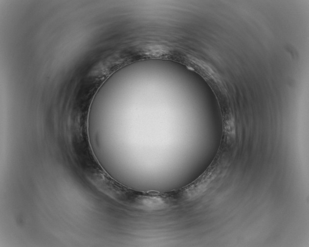 X0000110870572200906181205