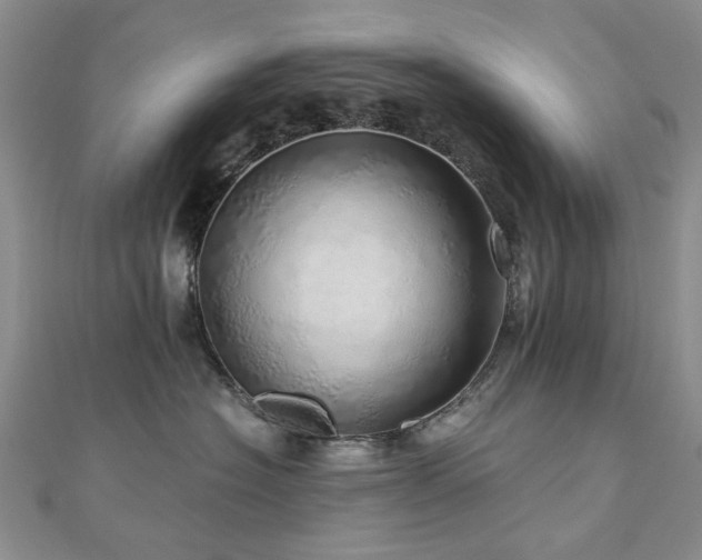 X0000110870574200906181205