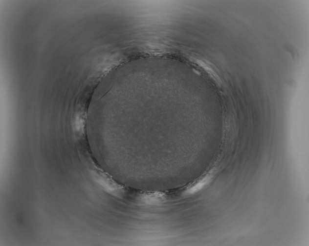 X0000110870576200906181205