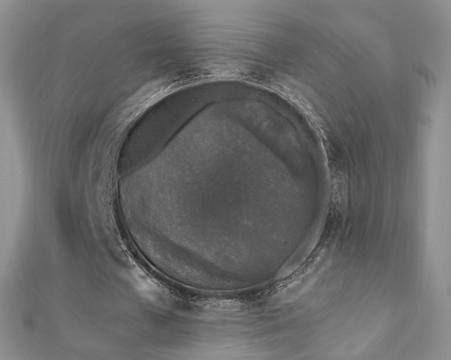 X0000110870577200906181204