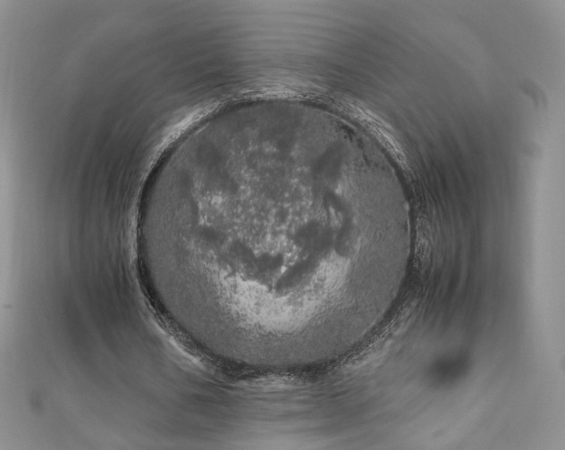 X0000110870578200906181204