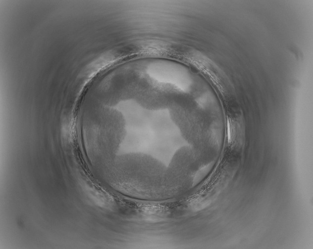 X0000110870579200906181204