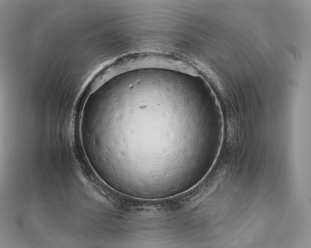 X0000110870580200906181204