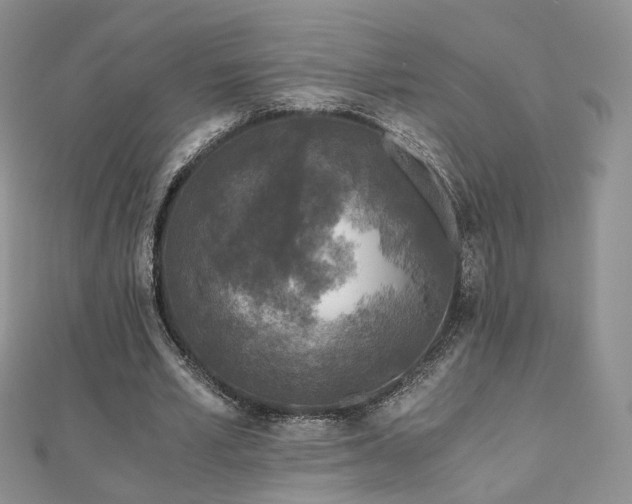 X0000110870581200906181204