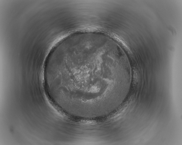 X0000110870582200906181204