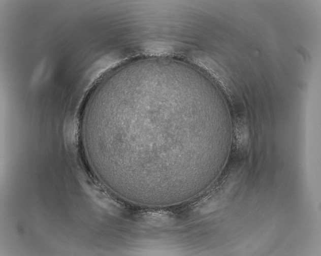 X0000110870583200906181204