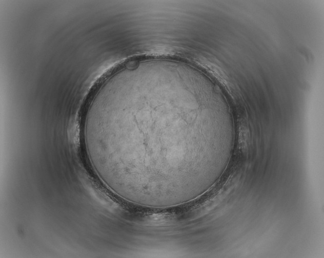 X0000110870584200906181204