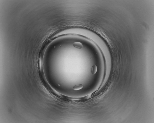 X0000110870585200906181204