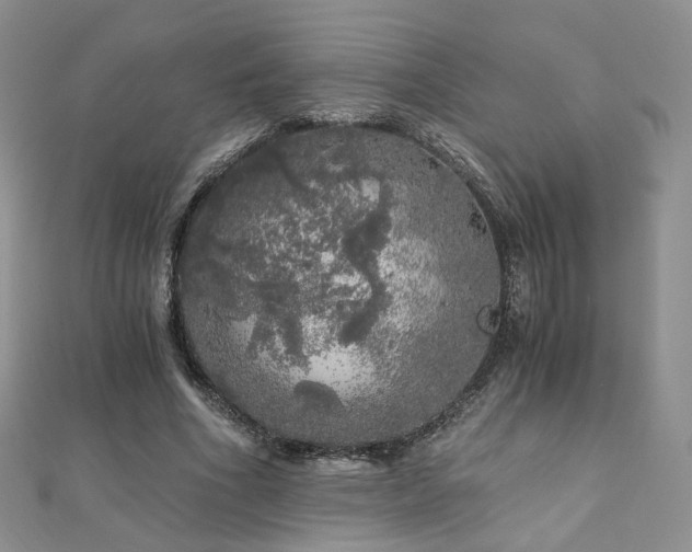 X0000110870586200906181204