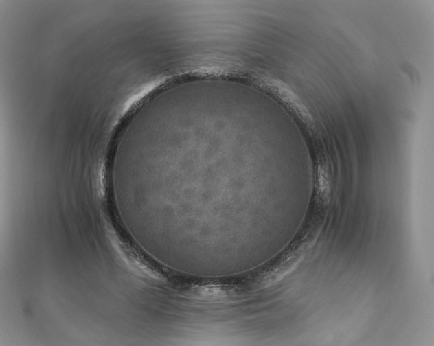 X0000110870588200906181204