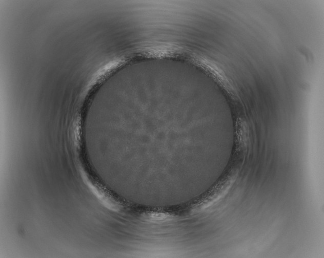 X0000110870590200906181204