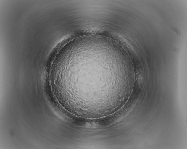 X0000110870591200906181204