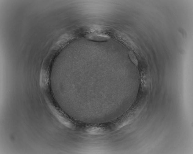 X0000110870593200906181204