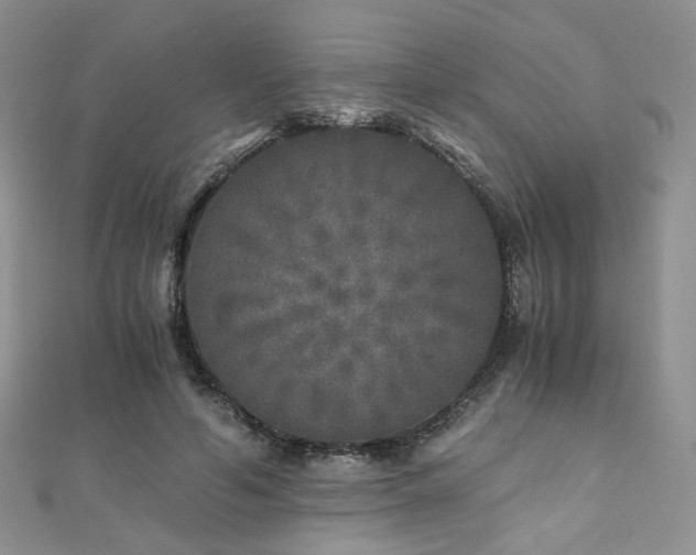 X0000110870594200906181204