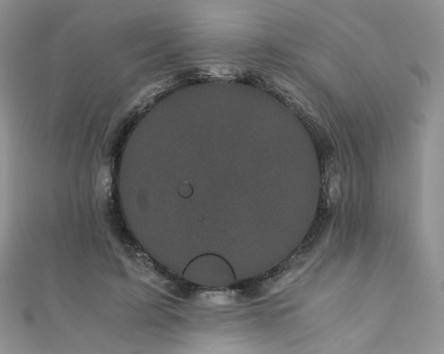 X0000110870595200906181204