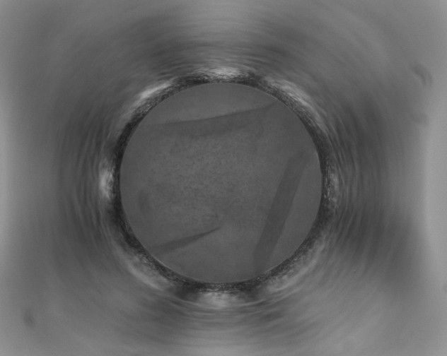 X0000110870596200906181204