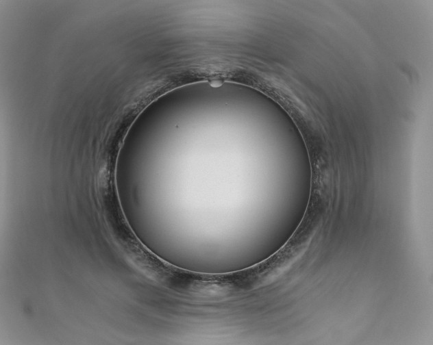 X0000110870597200906181204