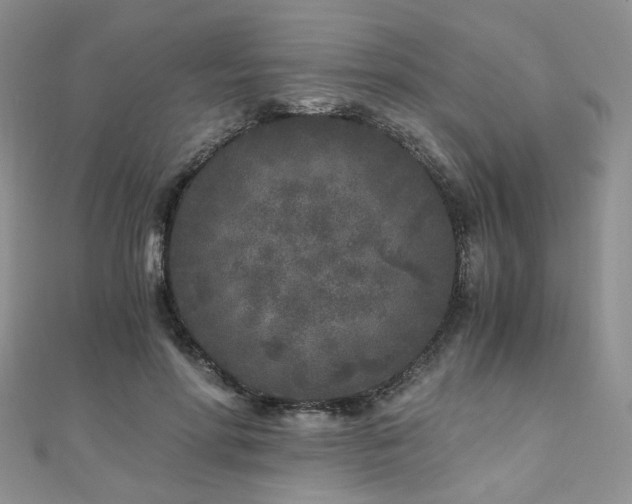 X0000110870598200906181204