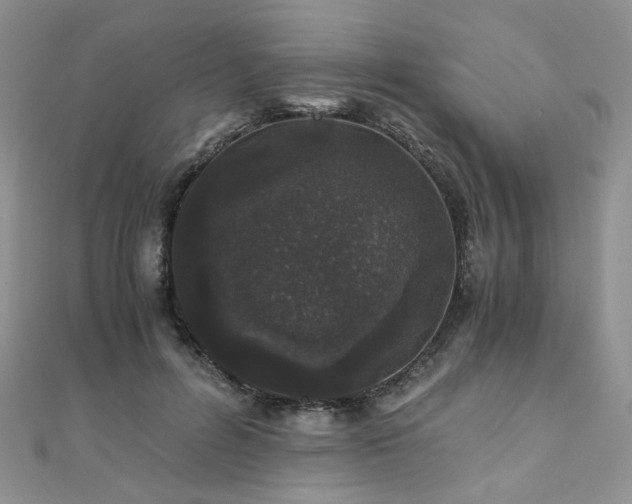 X0000110870600200906181204