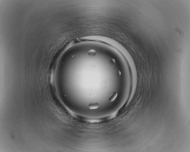 X0000110870601200906181204