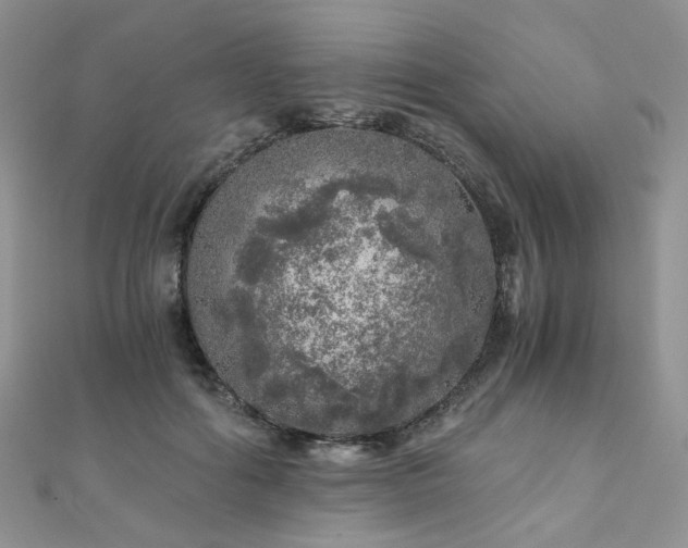 X0000110870602200906181204