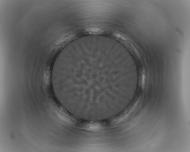 X0000110870604200906181204