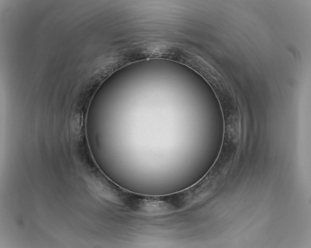 X0000110870605200906181204