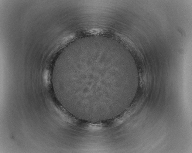 X0000110870606200906181204