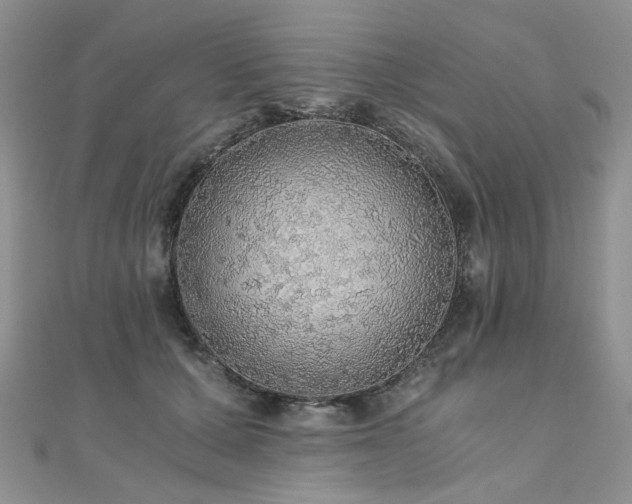 X0000110870607200906181204