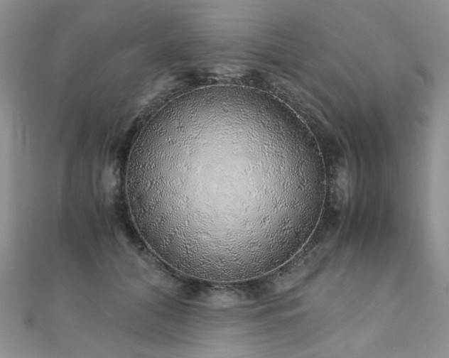 X0000110870608200906181204