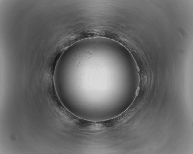 X0000110870609200906181204