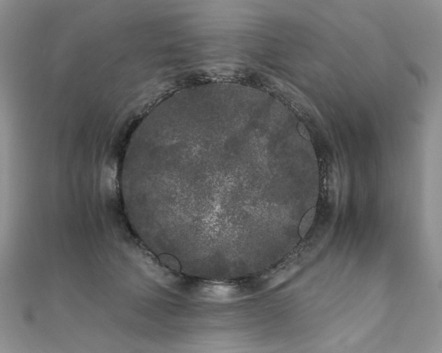 X0000110870610200906181204