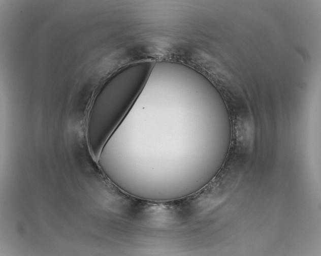 X0000110870611200906181204