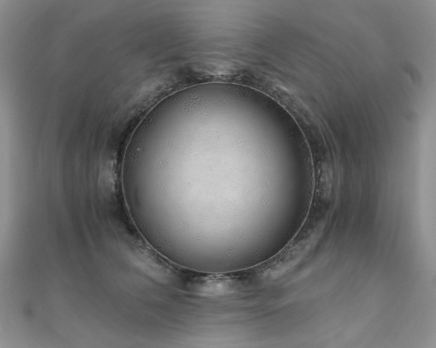 X0000110870612200906181204