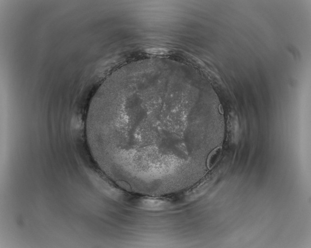 X0000110870614200906181204