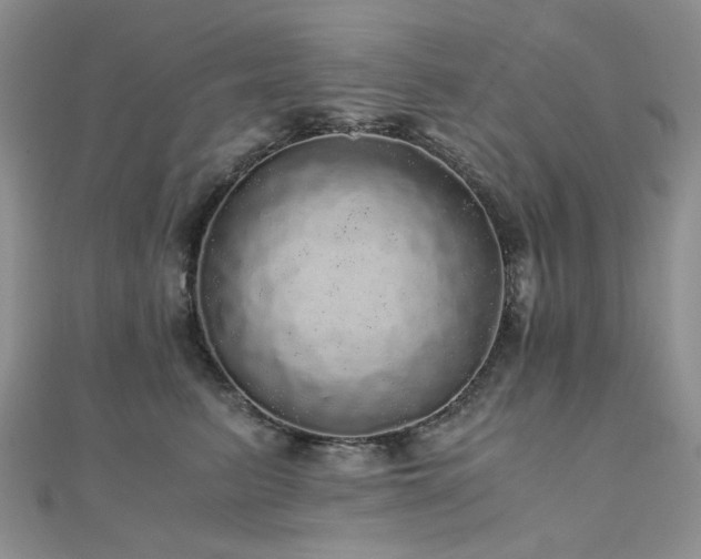 X0000110870615200906181203