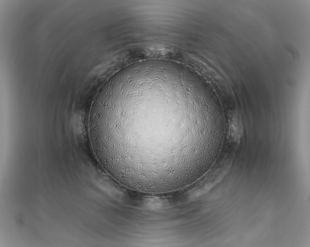 X0000110870616200906181203