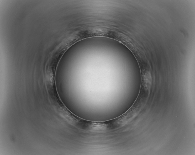 X0000110870617200906181203