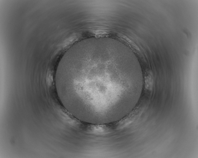 X0000110870618200906181203