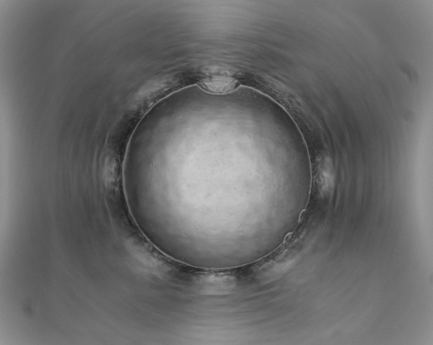 X0000110870619200906181203