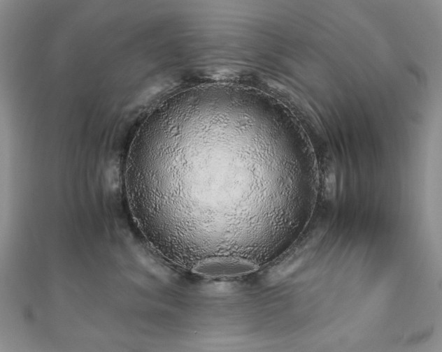 X0000110870620200906181203