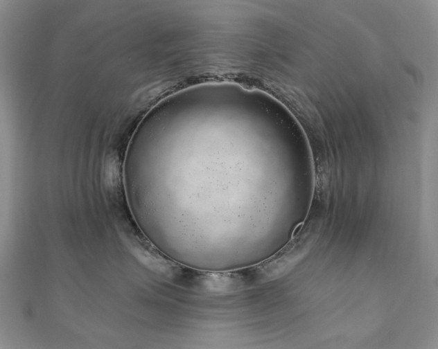 X0000110870623200906181203