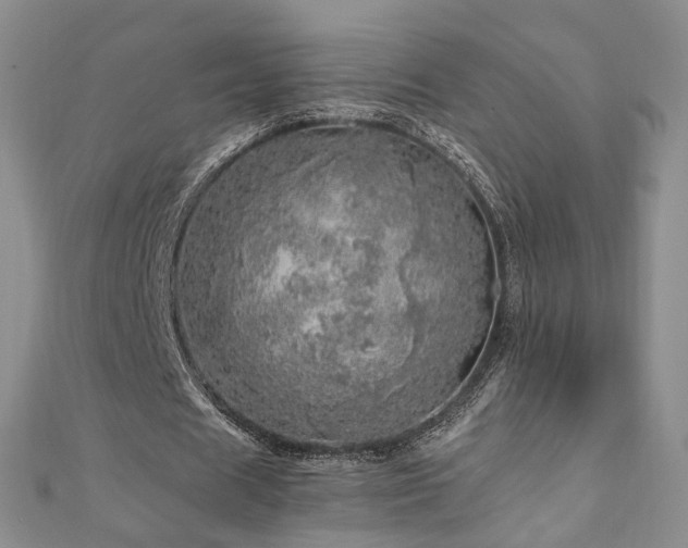 X0000110870625200906181203