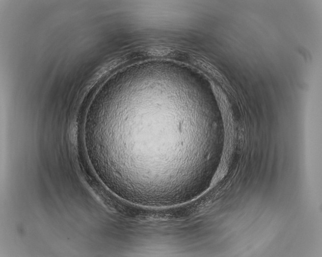 X0000110870626200906181203