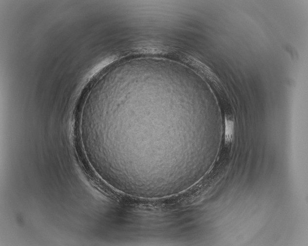 X0000110870627200906181203