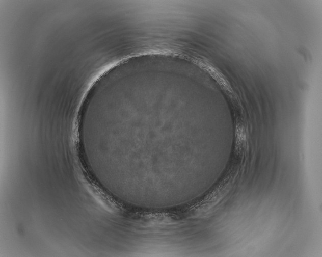 X0000110870628200906181203