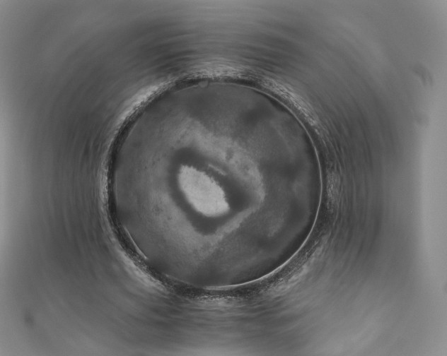 X0000110870629200906181203